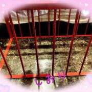 ヒメ日記 2025/07/14 05:14 投稿 しおり フィエスタ