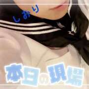 ヒメ日記 2025/07/19 11:44 投稿 しおり フィエスタ