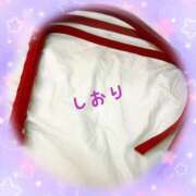 ヒメ日記 2025/08/20 06:47 投稿 しおり フィエスタ