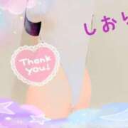 ヒメ日記 2025/08/25 13:48 投稿 しおり フィエスタ