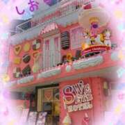 ヒメ日記 2025/08/27 00:14 投稿 しおり フィエスタ