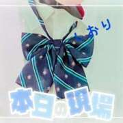 ヒメ日記 2025/09/05 08:54 投稿 しおり フィエスタ