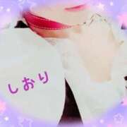 ヒメ日記 2025/09/24 01:44 投稿 しおり フィエスタ