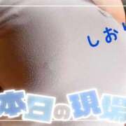 ヒメ日記 2025/10/02 00:14 投稿 しおり フィエスタ