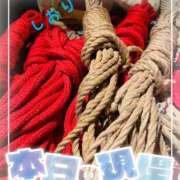 ヒメ日記 2025/10/03 14:34 投稿 しおり フィエスタ