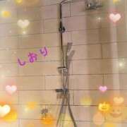 ヒメ日記 2025/10/25 06:54 投稿 しおり フィエスタ