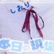 ヒメ日記 2025/10/31 15:14 投稿 しおり フィエスタ