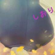 ヒメ日記 2025/11/05 06:04 投稿 しおり フィエスタ