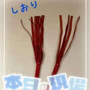 ヒメ日記 2025/11/09 00:14 投稿 しおり フィエスタ