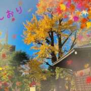 ヒメ日記 2025/11/23 03:54 投稿 しおり フィエスタ