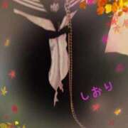 ヒメ日記 2025/11/30 04:54 投稿 しおり フィエスタ