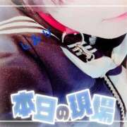 しおり 本日 フィエスタ