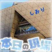 ヒメ日記 2025/12/30 11:14 投稿 しおり フィエスタ