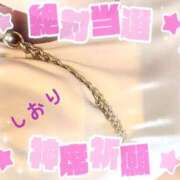 ヒメ日記 2025/12/31 14:04 投稿 しおり フィエスタ