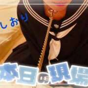 ヒメ日記 2026/01/04 10:04 投稿 しおり フィエスタ