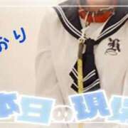 しおり 御礼 フィエスタ