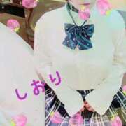 しおり 次回 フィエスタ