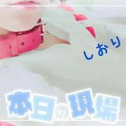 ヒメ日記 2026/01/29 07:04 投稿 しおり フィエスタ