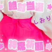 ヒメ日記 2026/02/06 04:14 投稿 しおり フィエスタ