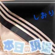 ヒメ日記 2026/02/24 00:14 投稿 しおり フィエスタ