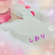 しおり 次回 フィエスタ