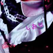 ヒメ日記 2026/03/15 06:34 投稿 しおり フィエスタ