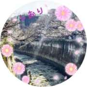 ヒメ日記 2026/03/27 03:34 投稿 しおり フィエスタ