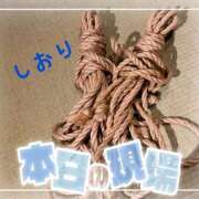 ヒメ日記 2026/04/23 13:24 投稿 しおり フィエスタ