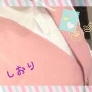 しおり 本日 フィエスタ