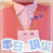 しおり 御礼 フィエスタ
