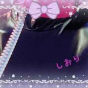 しおり 明日 フィエスタ