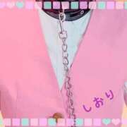 ヒメ日記 2026/06/11 20:04 投稿 しおり フィエスタ