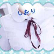 ヒメ日記 2026/08/22 17:54 投稿 しおり フィエスタ