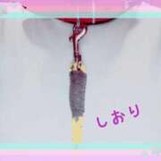 ヒメ日記 2026/08/24 06:14 投稿 しおり フィエスタ