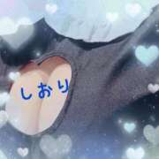 ヒメ日記 2026/08/25 06:04 投稿 しおり フィエスタ