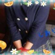 ヒメ日記 2026/09/21 15:19 投稿 しおり フィエスタ