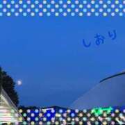 ヒメ日記 2026/09/26 05:34 投稿 しおり フィエスタ