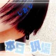 ヒメ日記 2026/10/09 12:34 投稿 しおり フィエスタ