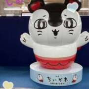 ヒメ日記 2026/10/11 01:24 投稿 しおり フィエスタ