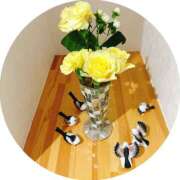 ヒメ日記 2024/12/07 00:53 投稿 あい sweet kiss