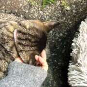 ヒメ日記 2024/12/07 03:59 投稿 あい sweet kiss