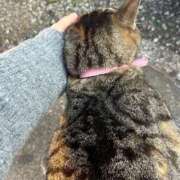 ヒメ日記 2024/12/08 02:49 投稿 あい sweet kiss