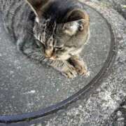 ヒメ日記 2024/12/10 02:49 投稿 あい sweet kiss