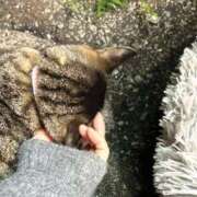 ヒメ日記 2024/12/11 03:29 投稿 あい sweet kiss