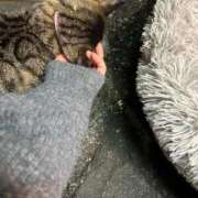 ヒメ日記 2024/12/12 02:59 投稿 あい sweet kiss