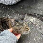 ヒメ日記 2024/12/13 03:09 投稿 あい sweet kiss