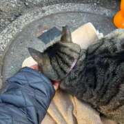 ヒメ日記 2024/12/17 03:49 投稿 あい sweet kiss