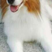 ヒメ日記 2024/12/20 23:57 投稿 あい sweet kiss