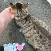 ヒメ日記 2024/12/21 03:19 投稿 あい sweet kiss