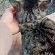 ヒメ日記 2024/12/22 02:39 投稿 あい sweet kiss